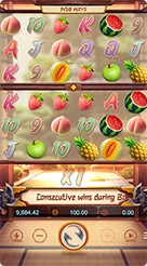 Ninja Raccoon Frenzy · Panduan Antarmuka dan Navigasi Fitur Slot Ninja Raccoon Frenzy